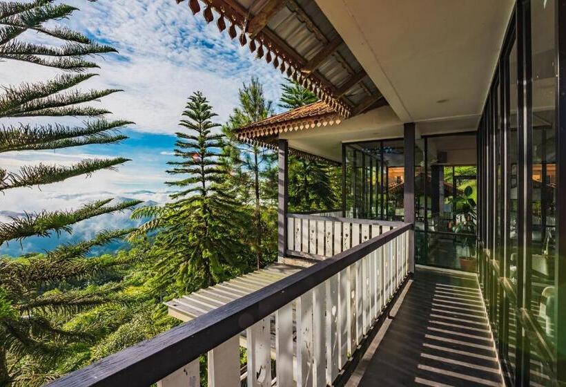 酒店 Mountain Valley Resort