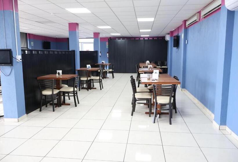 فندق Paracho Cerro Del Aguila