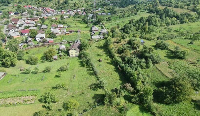 酒店 Pensiunea Veselia