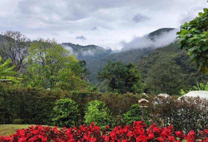 בית מלון כפרי Rainbow Glamping