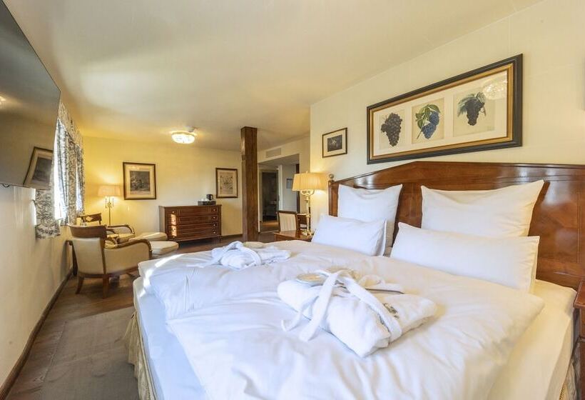 호텔 Schloss Frankenberg