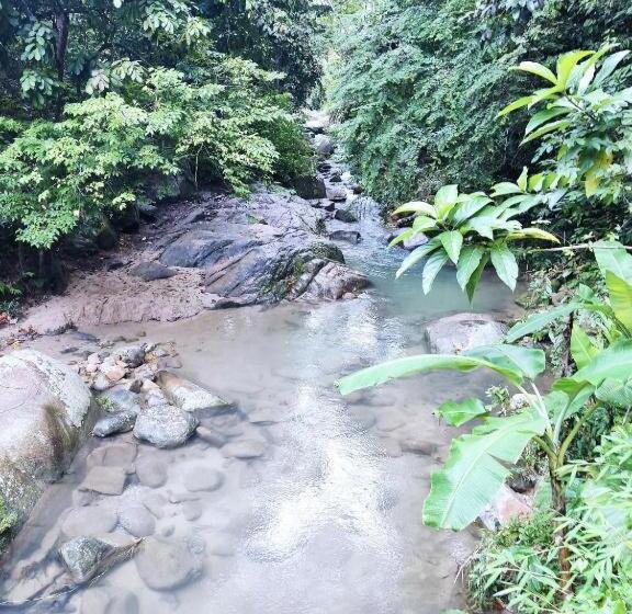 פנסיון Cozy Private Bunk Bed Room