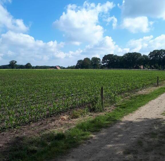 ペンション De Malle Molen