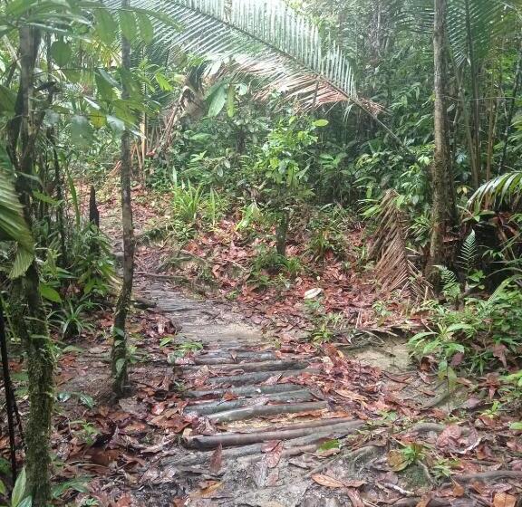 Пансион Los Cocos Hostal