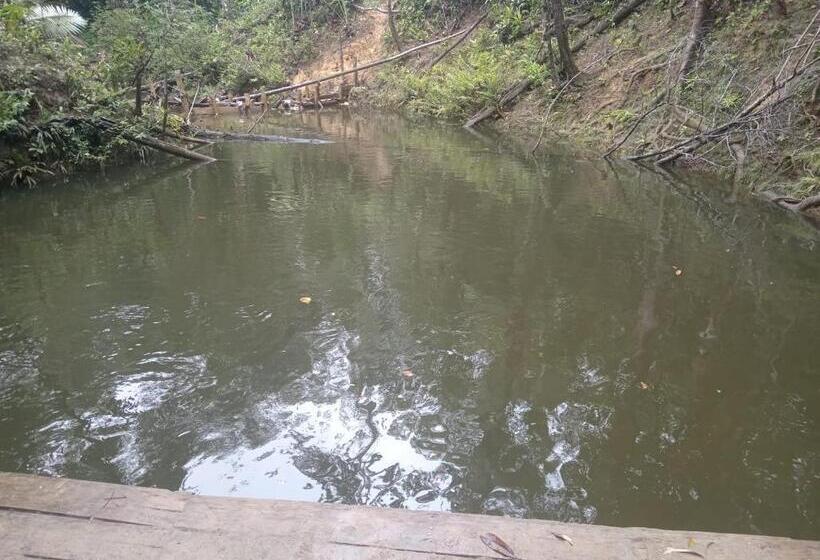 Пансион Los Cocos Hostal