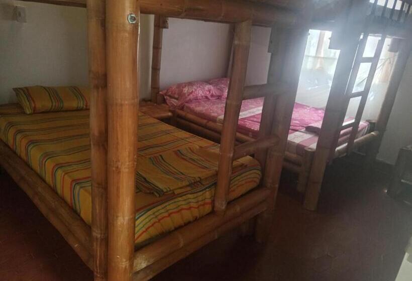 Пансион Los Cocos Hostal