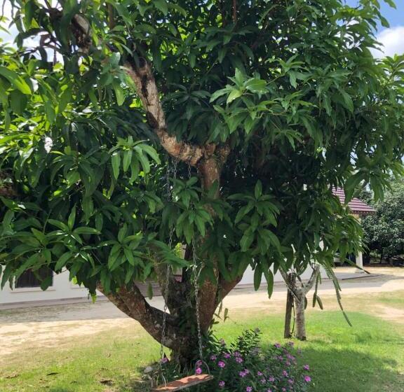 膳宿费 One Room Homestay 81b Muar