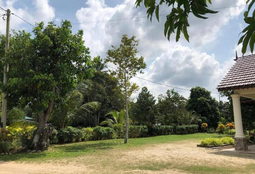 بنسيون One Room Homestay 81b Muar