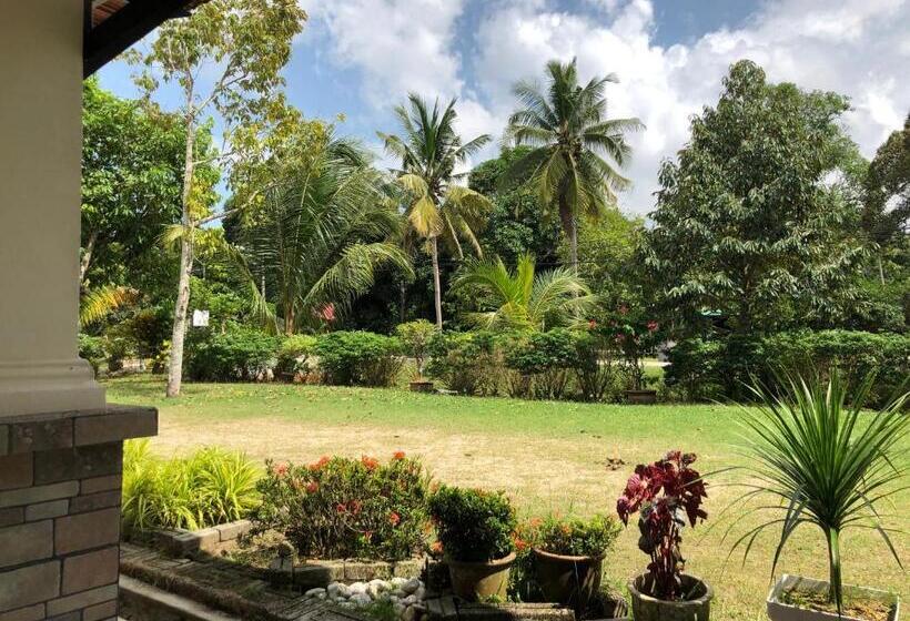 بنسيون One Room Homestay 81b Muar