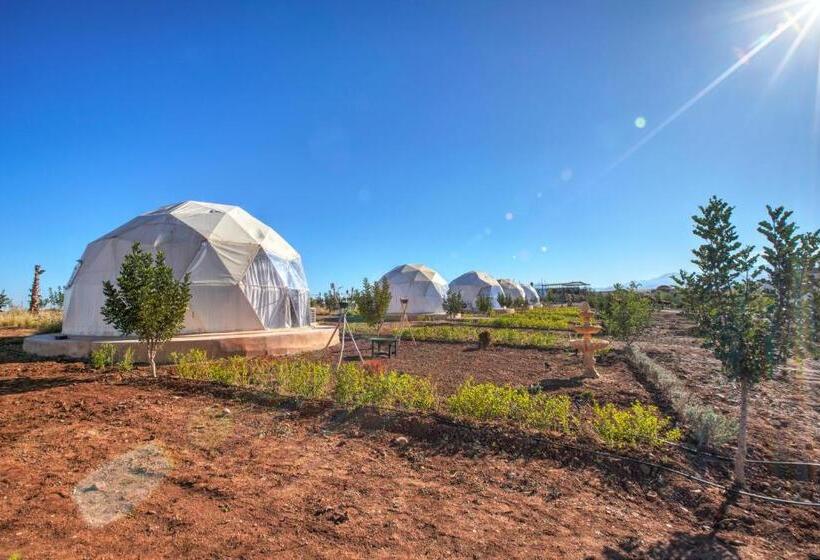 پانسیون The Ranch Resort