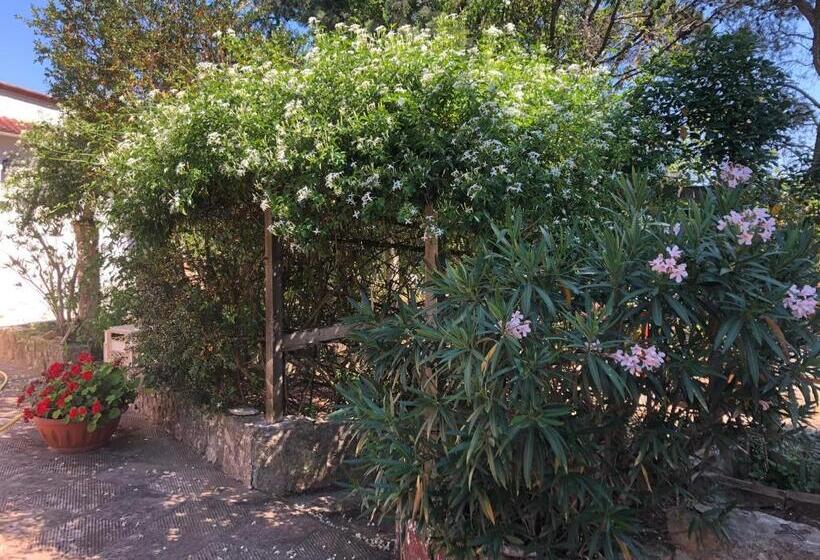 膳宿费 Trullo Bonaventura