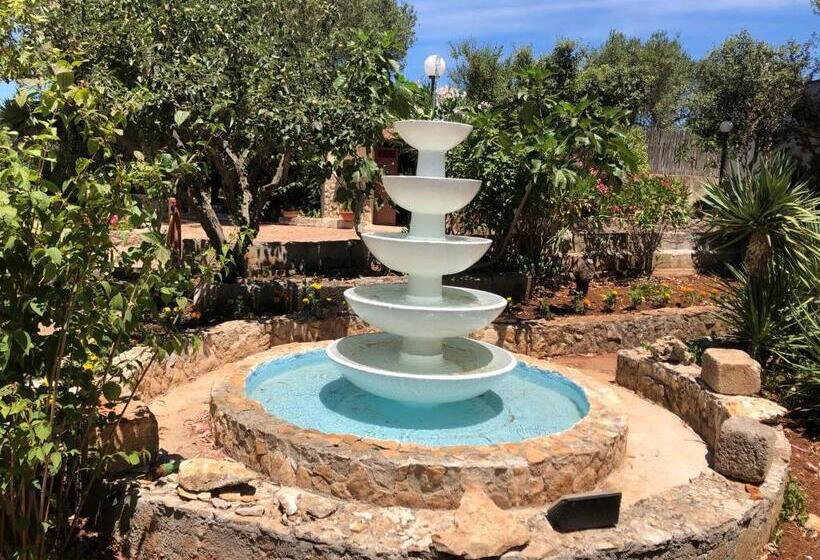 膳宿费 Trullo Bonaventura