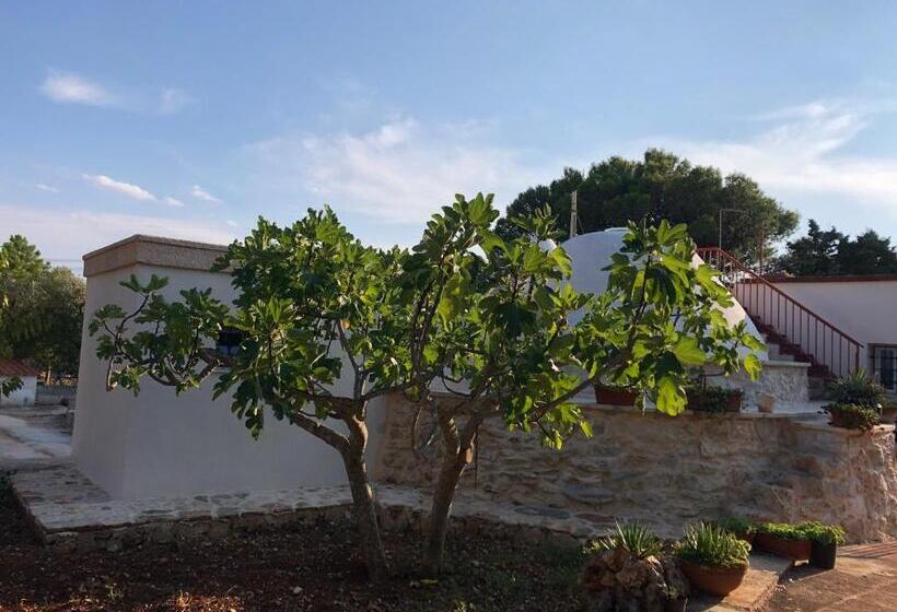 膳宿费 Trullo Bonaventura