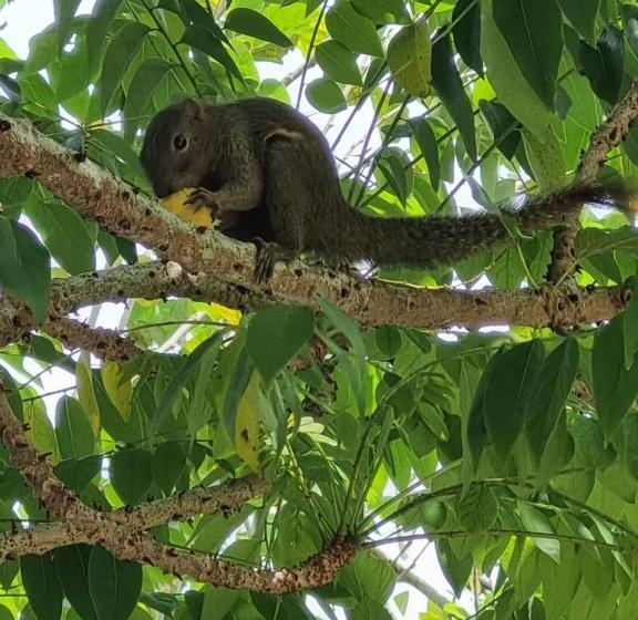 ペンション Umar S Tiny House