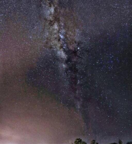 منتجع D View Holiday Homes