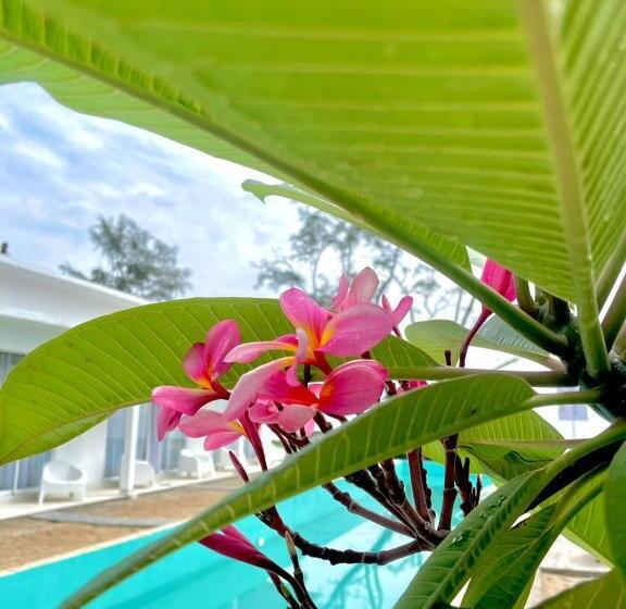 渡假胜地  Villa Bari Loft