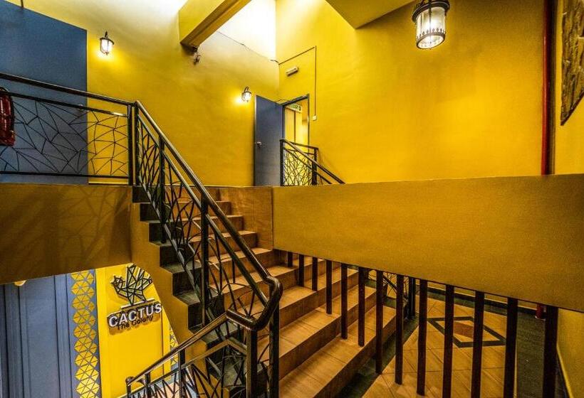 The Colony By Cactus Hotel Dedap