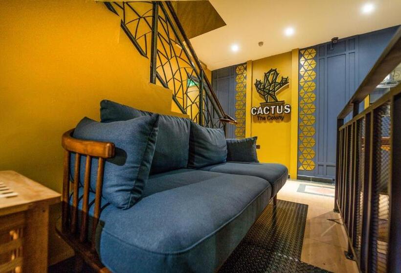 The Colony By Cactus Hotel Dedap