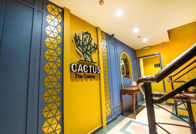 The Colony By Cactus Hotel Dedap