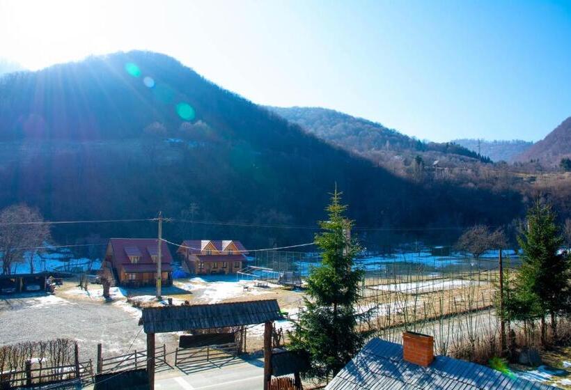 הוסטל Complex Turistic Nora Rau Sadului