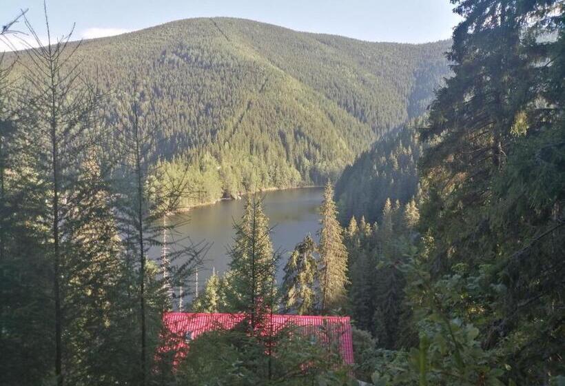 הוסטל Complex Turistic Nora Rau Sadului