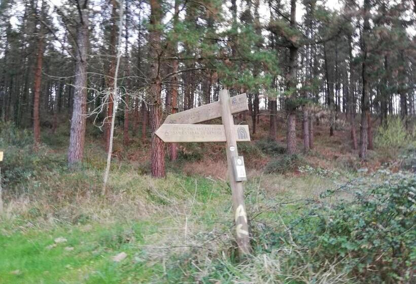 Albergue De Peregrinos Gerekiz