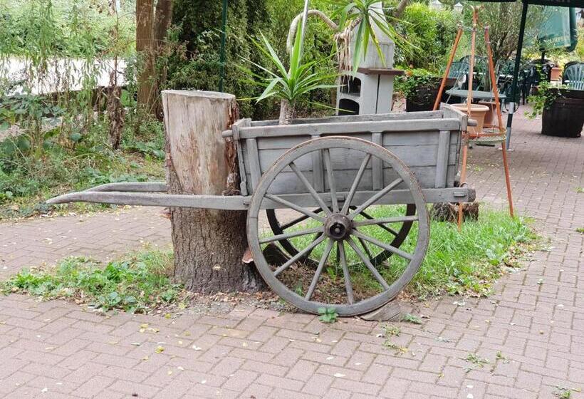 Общежитие Ganerb