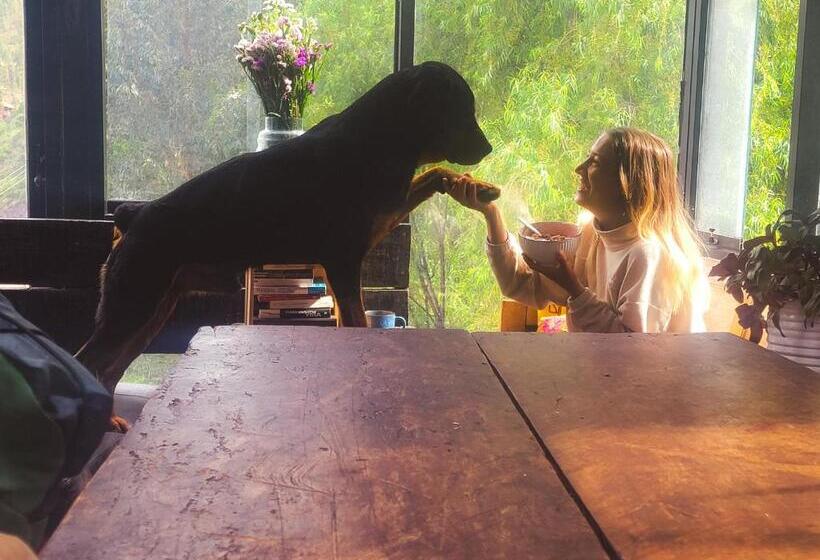 هاستل Wolf Totem Mountain Top Dream Villa