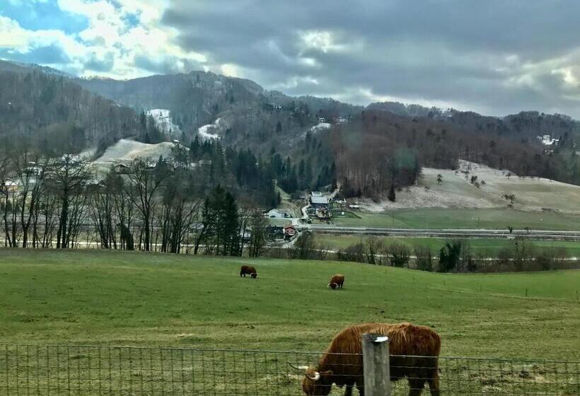 All Seasons Apartments Laško