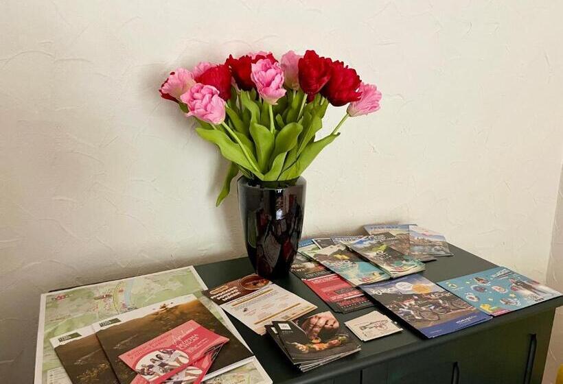 All Seasons Apartments Laško