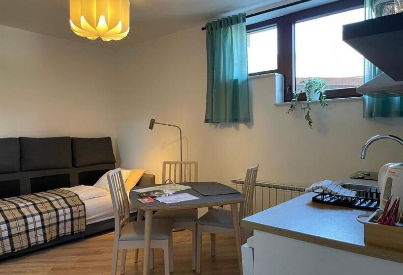 All Seasons Apartments Laško