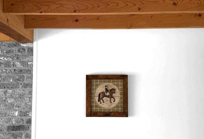 B&b En Vakantiewoningen  T Wienhoes