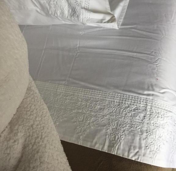 ベッドアンドブレックファースト Amelia Villarrica