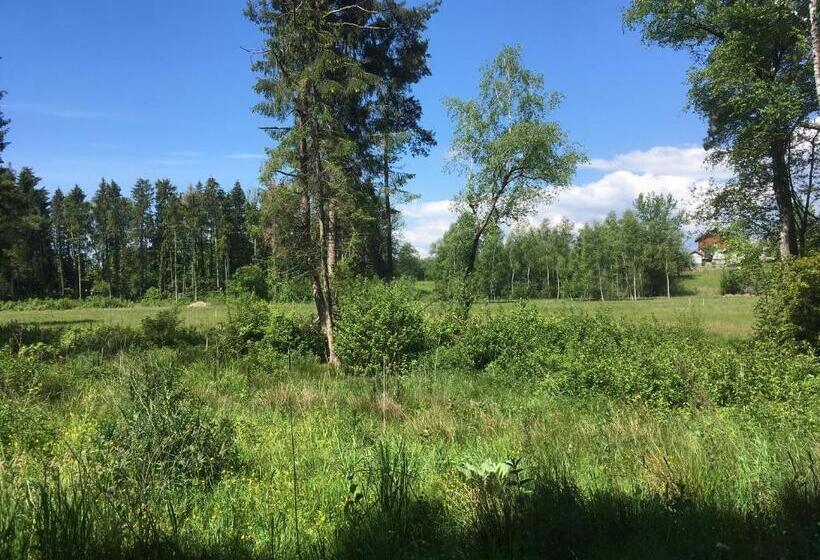 مبيت وإفطار Auf Wolke 7   Gäste Studio Im Mini House In Ch 4556 Aeschi So