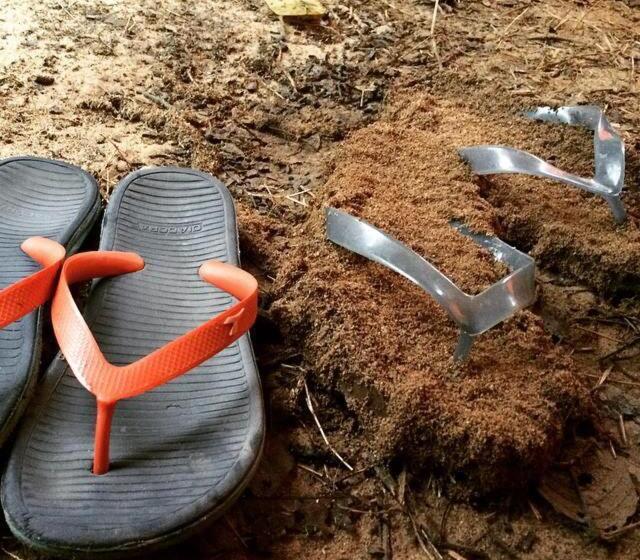 민박 Belebar Homestay Taman Negara Pahang Malaysia