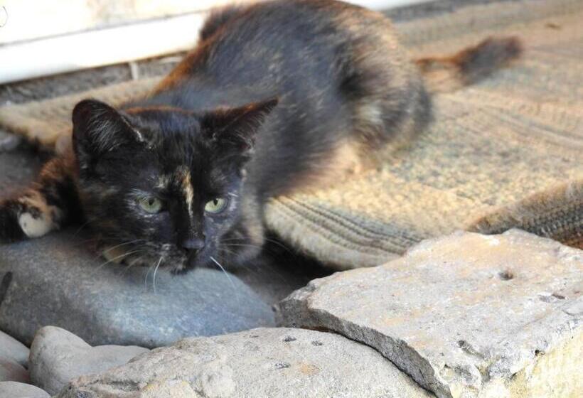 تختخواب و صبحانه Cabaña Privada