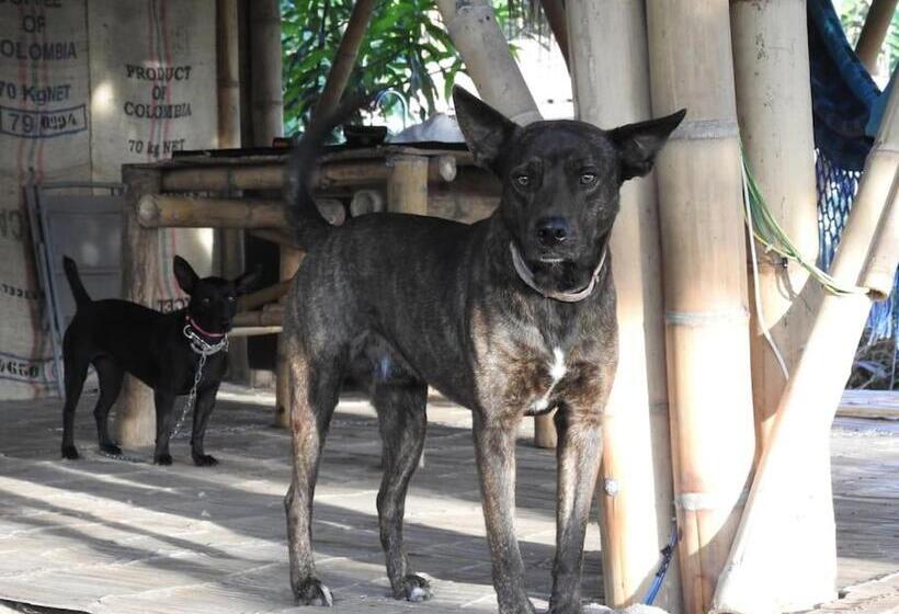 민박 Cabaña Privada