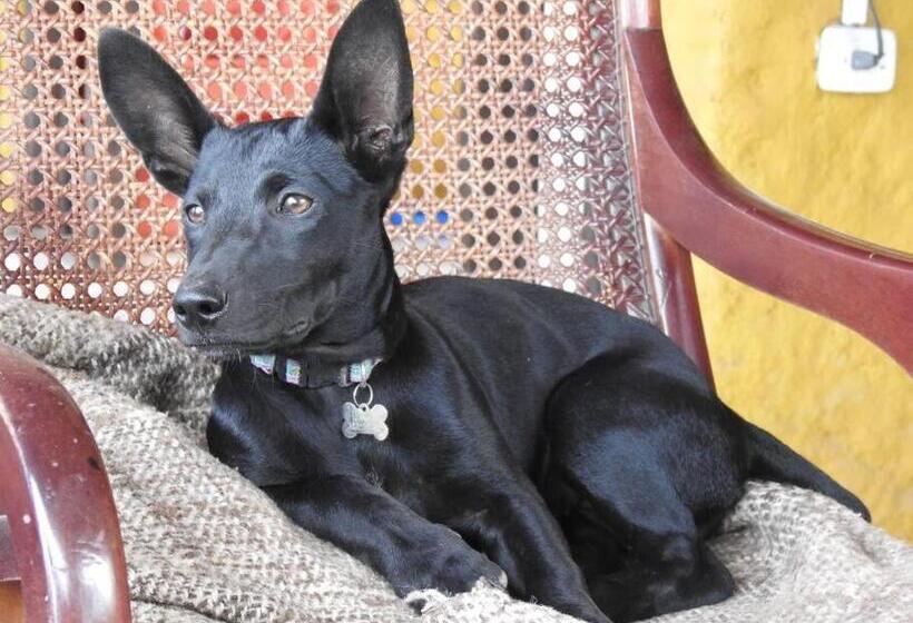 민박 Cabaña Privada