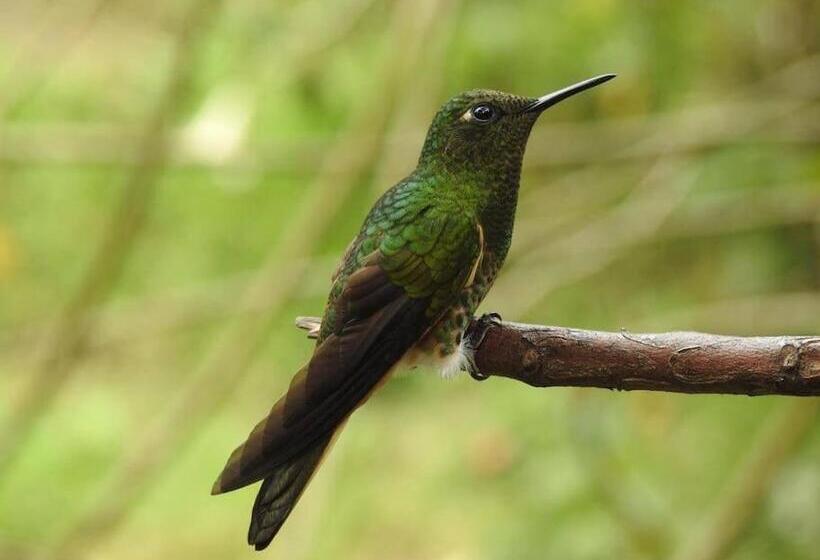 민박 Cabaña Privada