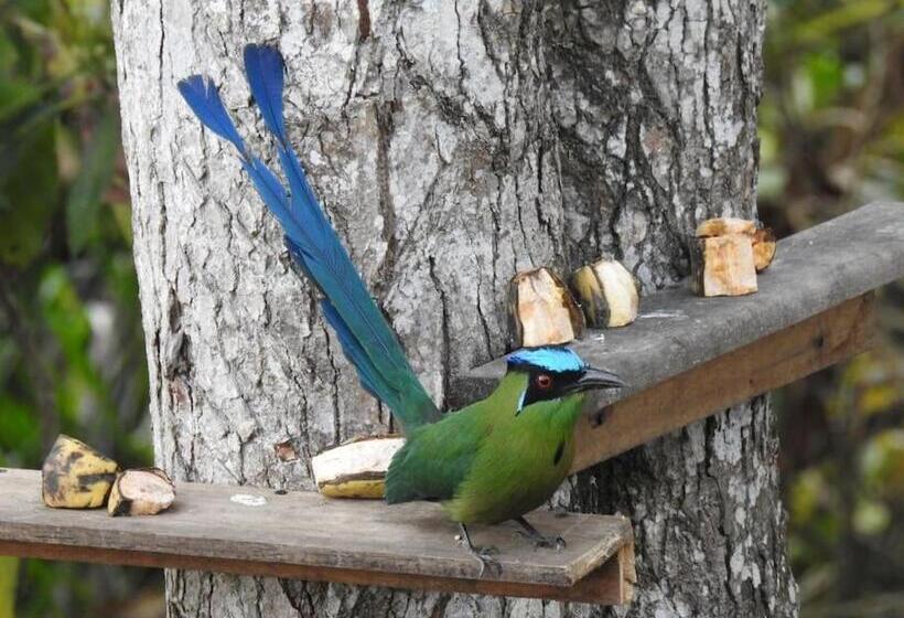 تختخواب و صبحانه Cabaña Privada