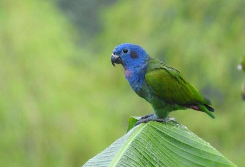 민박 Cabaña Privada