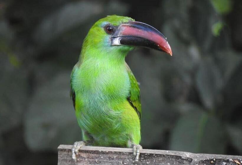 민박 Cabaña Privada