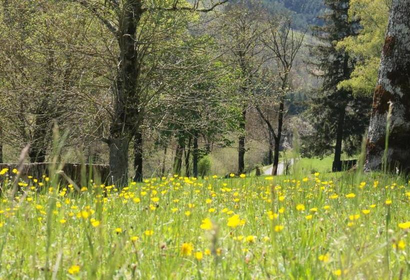 ベッドアンドブレックファースト Lou Prat