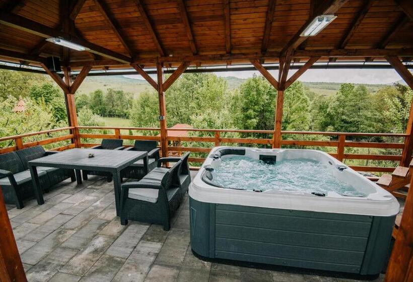 צימר Pensiunea Biz Panzió