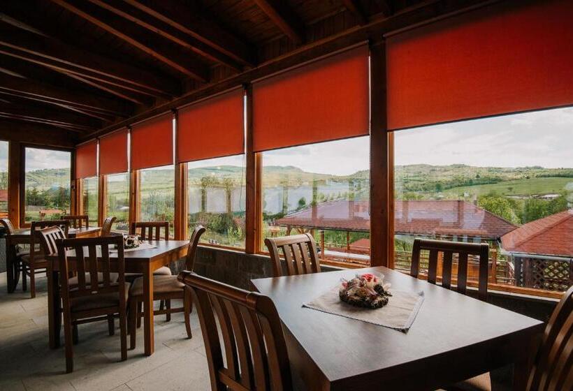 צימר Pensiunea Biz Panzió