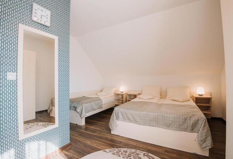 צימר Pensiunea Biz Panzió