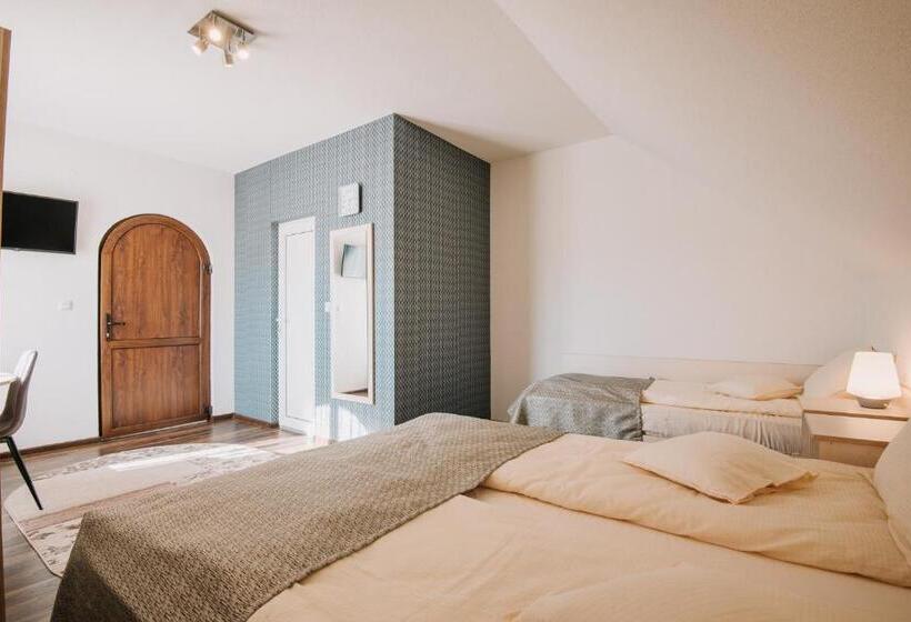 צימר Pensiunea Biz Panzió