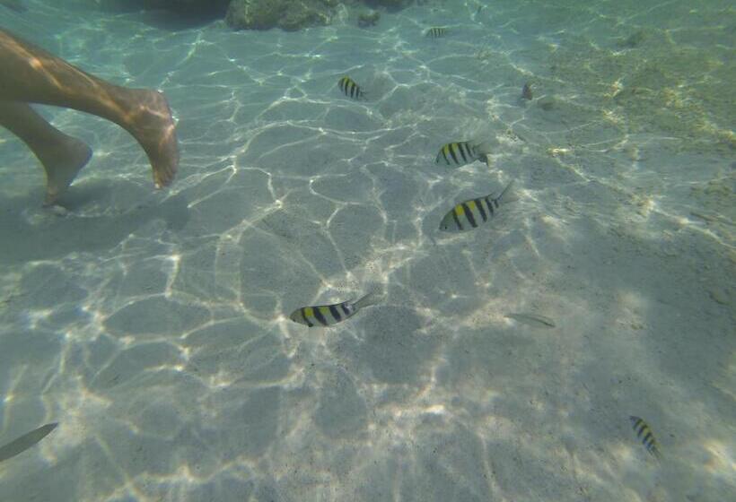 住宿加早餐  Perhentian Chomel Chalet