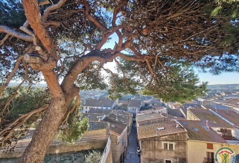 مبيت وإفطار Teva