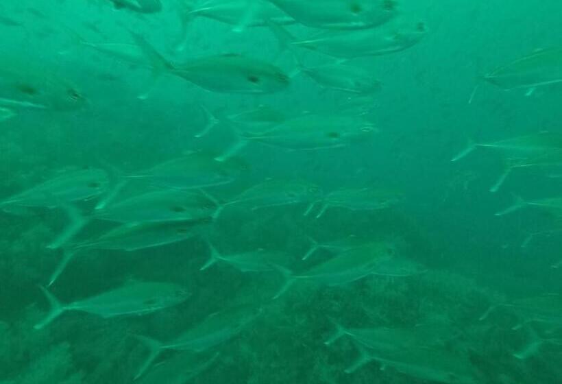 민박 Turqui Paradise